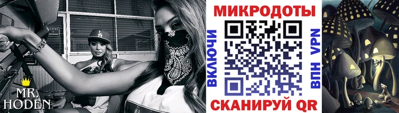 Псилоцибиновые грибы Psilocybe  наркотики  Бабушкин 