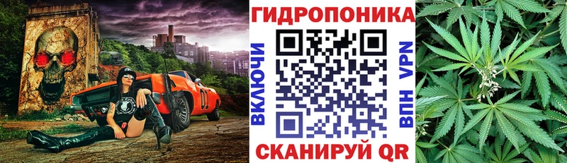 МАРИХУАНА планчик  Бабушкин 